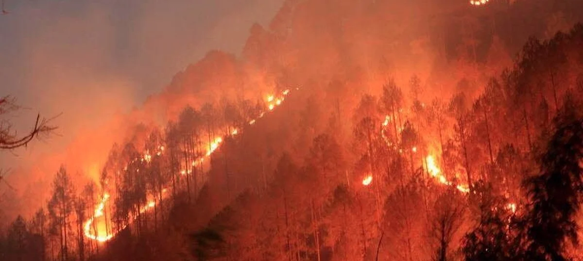 Uttarakhand Mountains Burning in Wildfires